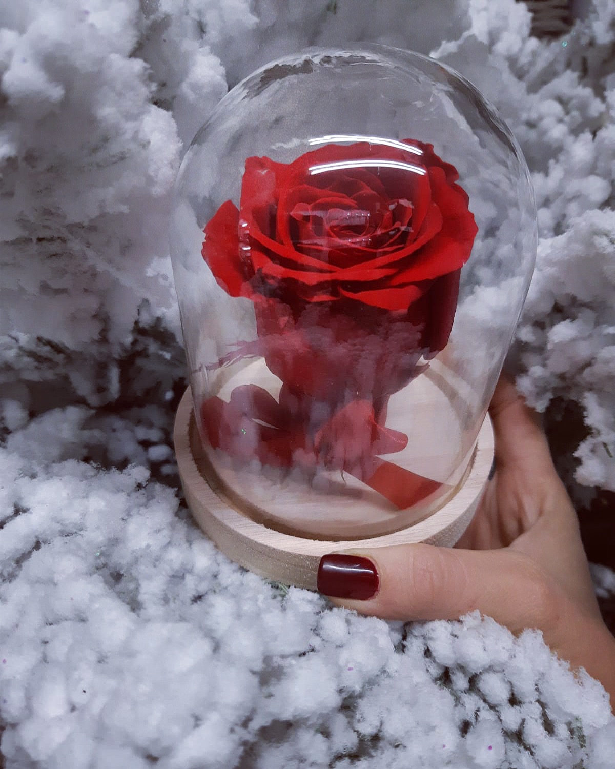 Rose éternelle sous cloche #RE1 - Clara fleurs